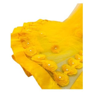 Aagyeyi Drishya Sarees