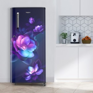 Whirlpool 190 L Direct Cool Single Door 2 Star Refrigerator