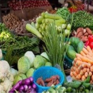 Vegetables Kit